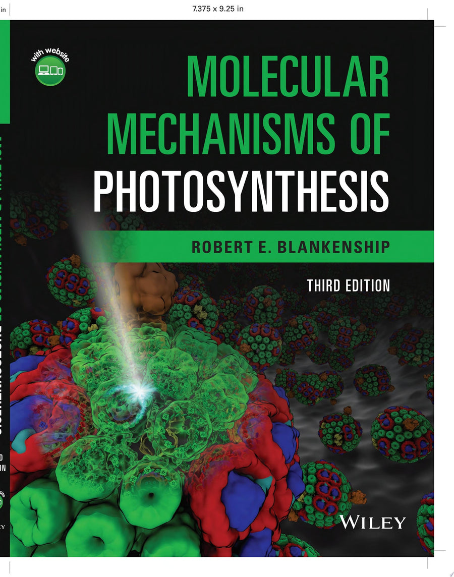 Molecular Mechanisms of Photosynthesis