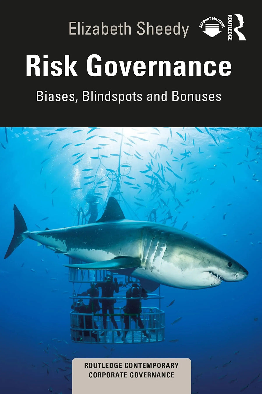 Risk Governance Biases, Blind Spots and Bonuses by Elizabeth Sheedy