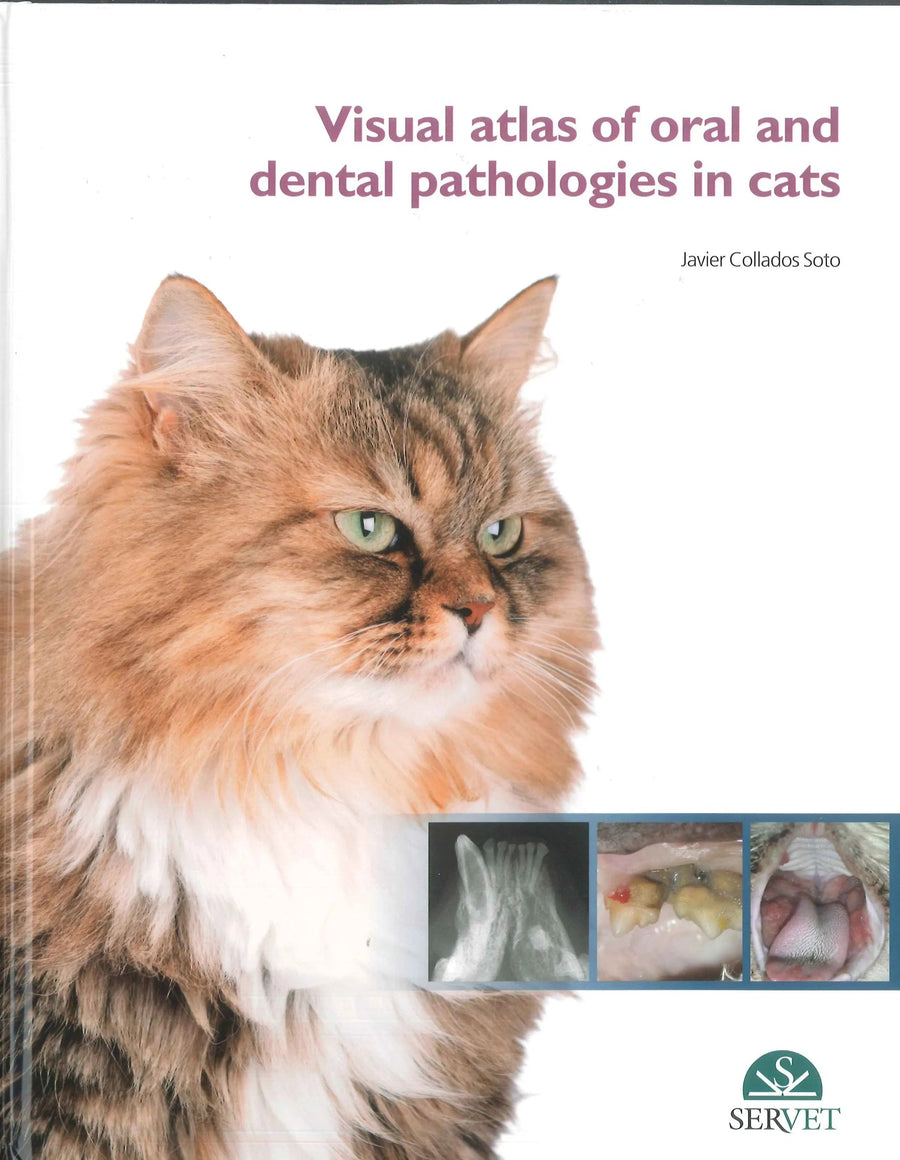 Visual Atlas of Oral and Dental Pathologies in Cats by Javier Collados Soto