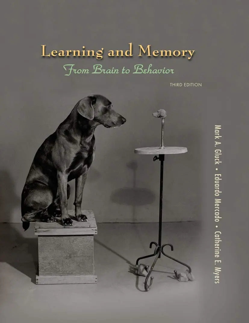 Learning and Memory by Mark A. Gluck