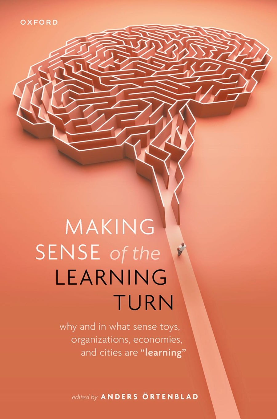 Making Sense of the Learning Turn: Why and In What Sense Toys, Organizations, Economies, and Cities are "Learning"