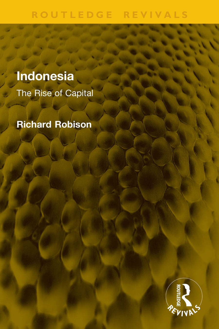 Indonesia: The Rise of Capital