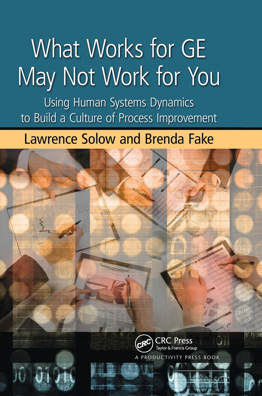 What Works for GE May Not Work for You: Using Human Systems Dynamics to Build a Culture of Process Improvement