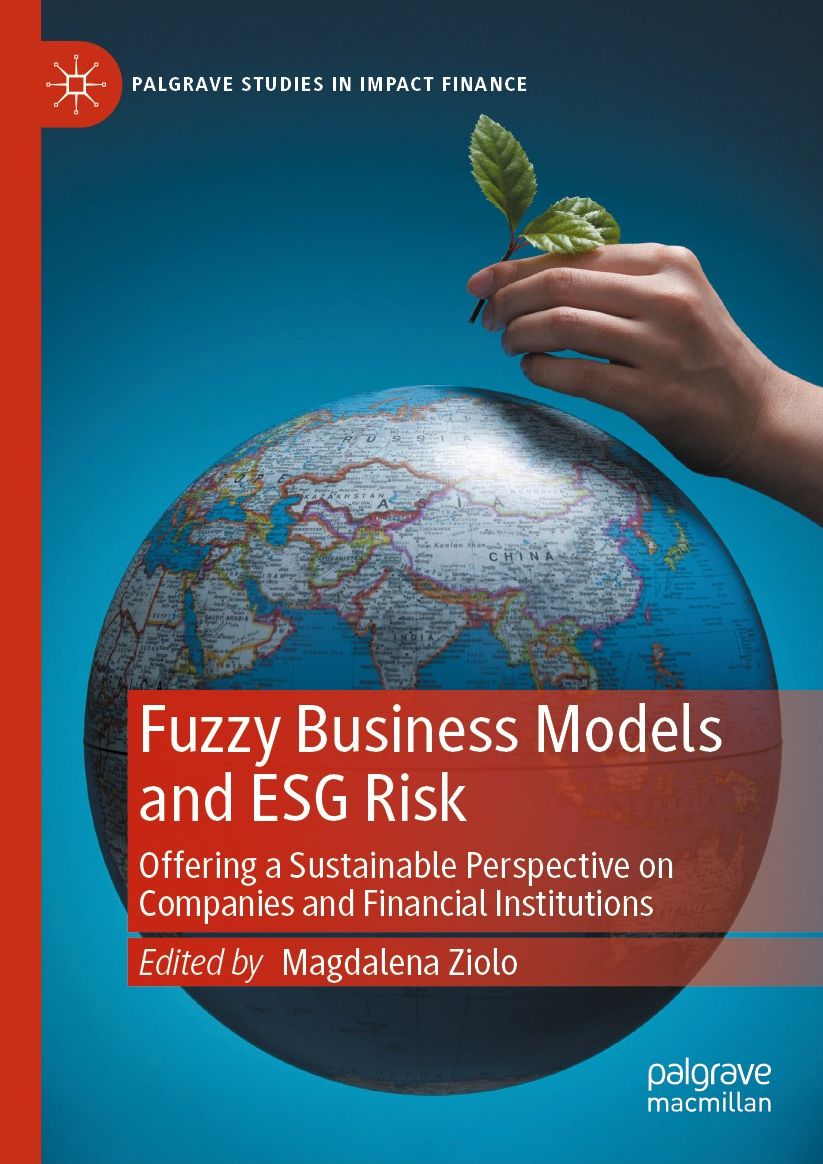 Fuzzy Business Models and ESG Risk: Offering a Sustainable Perspective on Companies and Financial Institutions